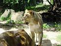 31st-Anniversary-Trip-to-Zoo-7-2014-015