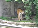 31st-Anniversary-Trip-to-Zoo-7-2014-022