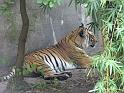31st-Anniversary-Trip-to-Zoo-7-2014-023