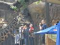 31st-Anniversary-Trip-to-Zoo-7-2014-027