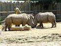 31st-Anniversary-Trip-to-Zoo-7-2014-030