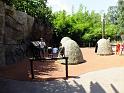 31st-Anniversary-Trip-to-Zoo-7-2014-044