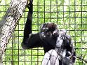 31st-Anniversary-Trip-to-Zoo-7-2014-075