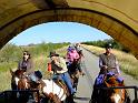 Kings-Kowboys-Trail-Ride-November-2015-0040