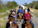 Kings-Kowboys-Trail-Ride-November-2015-0044