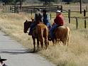 Kings-Kowboys-Fall-Trail-Ride-11-17-18-018