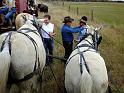 Kings-Kowboys-Fall-Trail-Ride-11-17-18-059