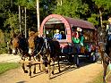 MCTRA-Halloween-Trail-Ride-10-27-2018-070