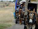 Kings-Kowboys-Fall-Trail-Ride-11-17-18-047