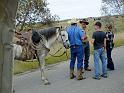 Kings-Kowboys-Fall-Trail-Ride-11-17-18-058