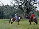 Stampede-Fall-Trail-Ride-10-20-2018-005