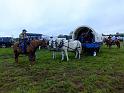 Stampede-Fall-Trail-Ride-10-20-2018-007