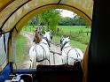 Stampede-Fall-Trail-Ride-10-20-2018-011