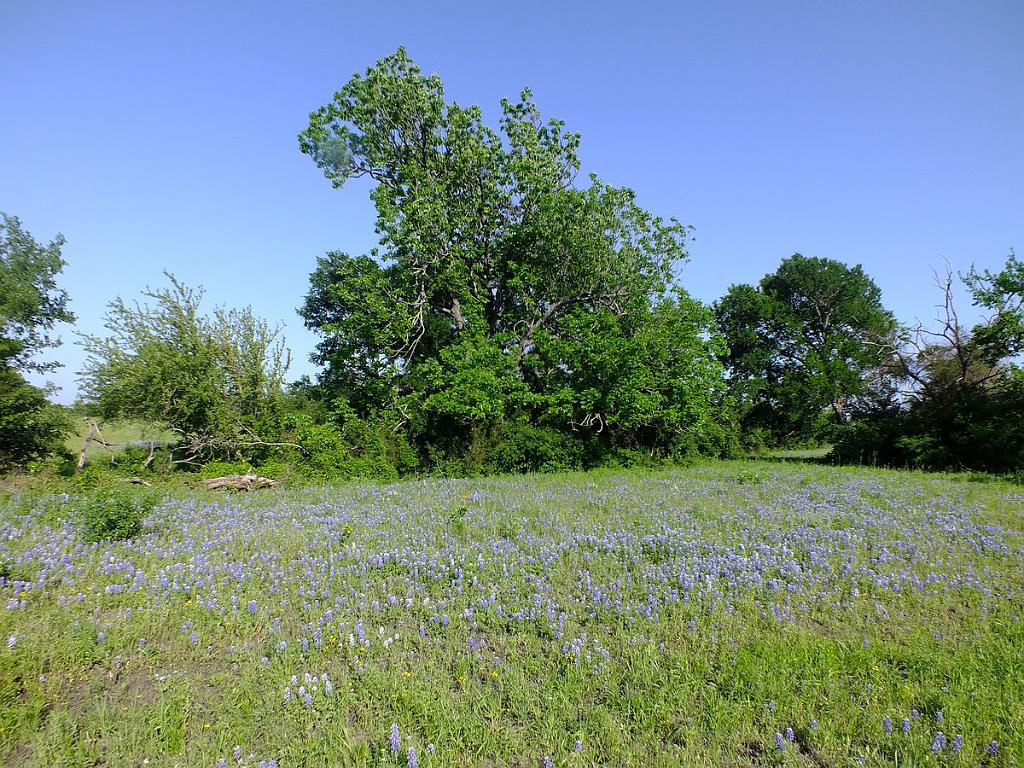 Texas-Trek-March-2012-090.JPG